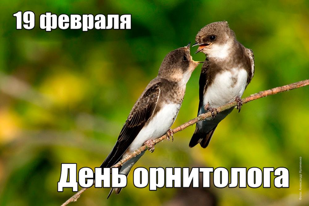 DzvmS-pXcAE9O1C.jpg:large