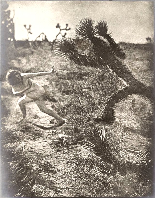 In 1941 Arizona once again suffered spates of violent
&amp; spine-tinglingly horrific attacks from a marauding cactoid.
A team comprised of police, FBI &amp; forensic cryptobotanists worked to apprehend the psychoplant but despite 867 gruesome deaths the serial tekiller remains at large.