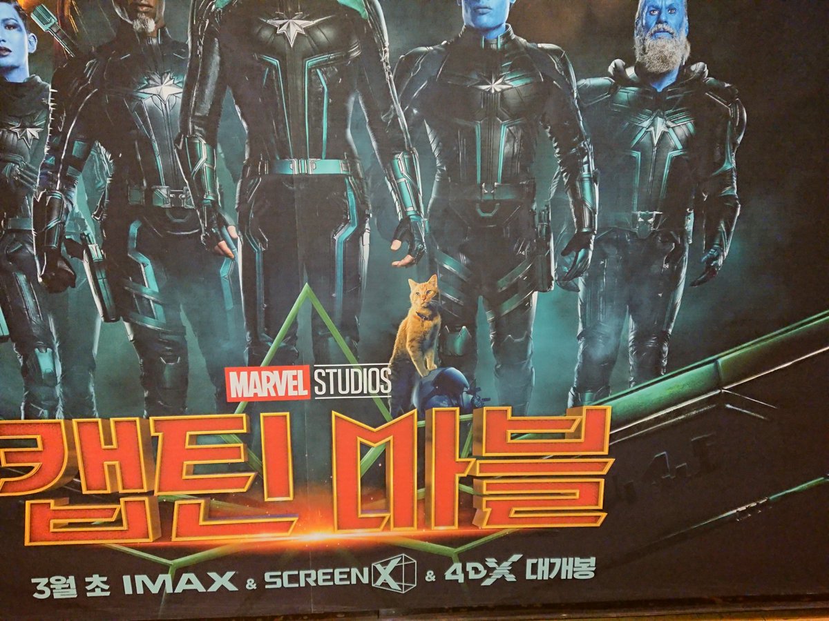 AlbireoJ's tweet photo. ์บกํด ๋ฅ๋ธ. ์ง๊ตฌ์ธ๋ค, ์ด ๋ชธ์ ๋ณด๋ฌ ์ค๋ผ๋ฅ~ #captainmarvel #marvel #marvelcat #cgv https://t.co/Yo5HprT08o