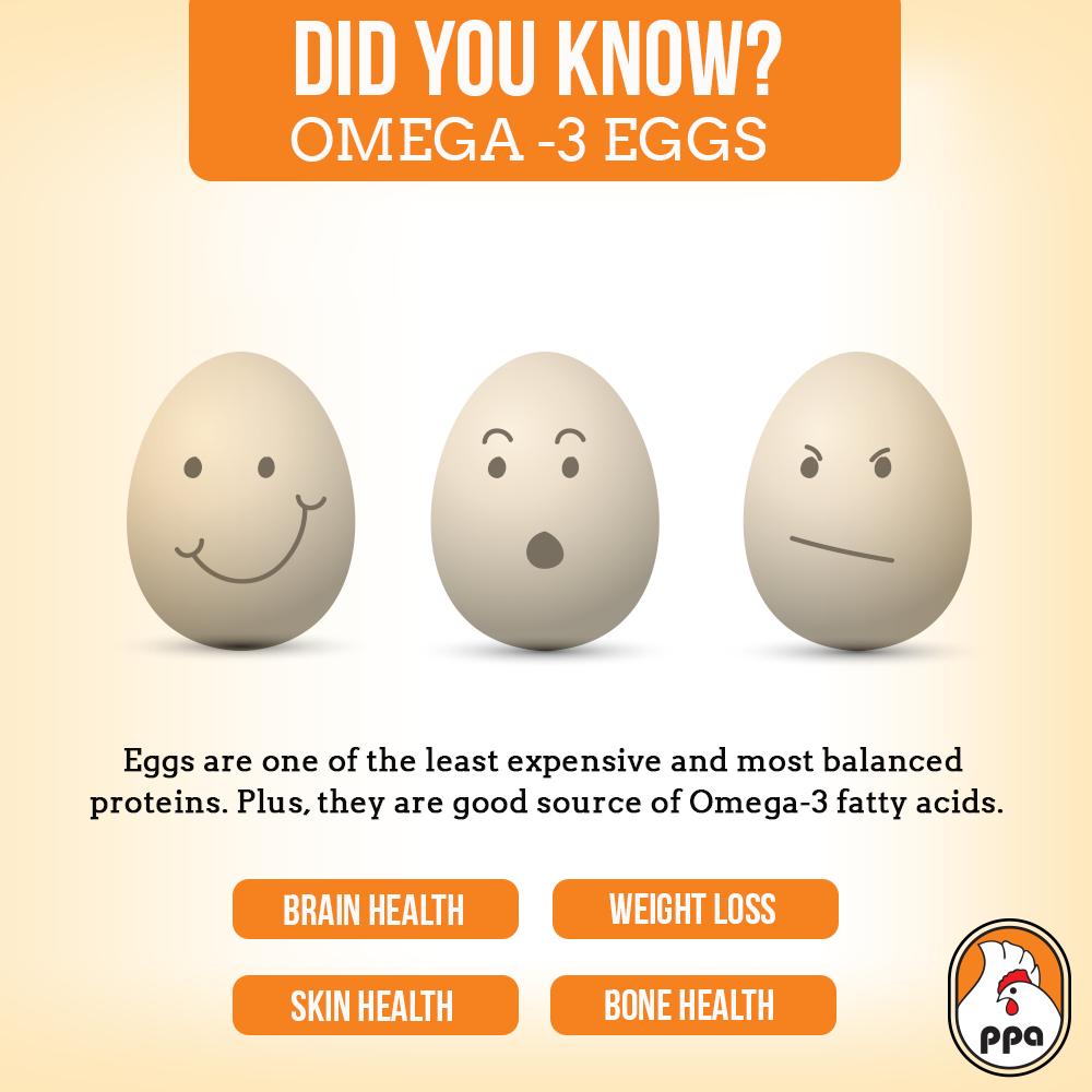 ppacentralpk's tweet photo. Did you Know? #ppa #pakistan #poultry #association #eggs #benefits #brainhealth #livegood #livehealthy https://t.co/gZqnKZaAsw