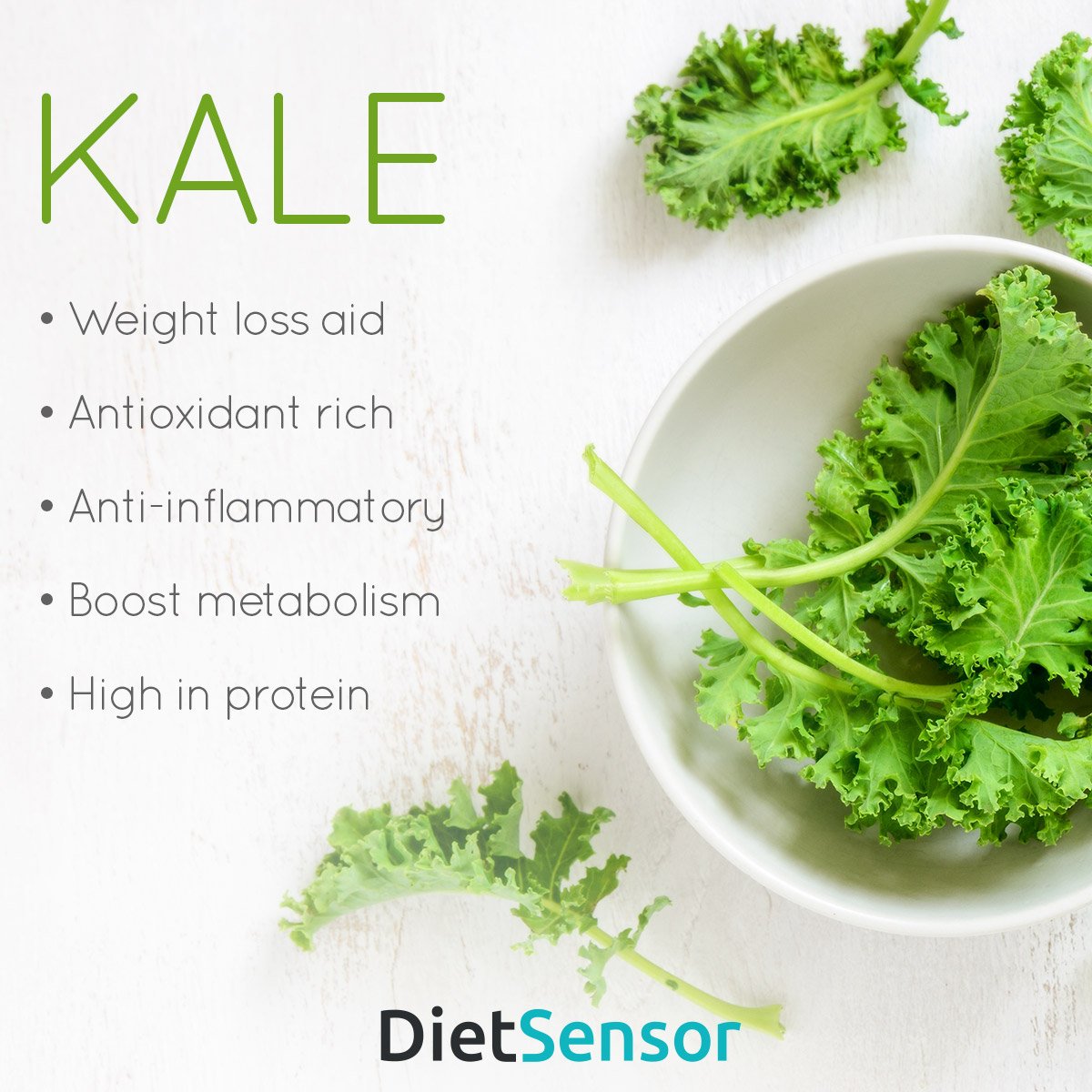 DietSensor_USA's tweet photo. Of all the super healthy greens, kale is king.
It is definitely one of the healthiest and most nutritious plant foods.
#DietSensor #kale #superfoods #eathealthy #nutrition https://t.co/IkIZd4cw3W
