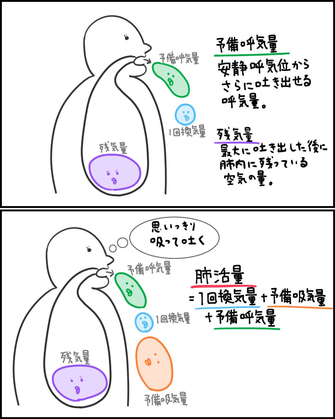 Copdの概念と診断 呼吸療法認定士の攻略サイト
