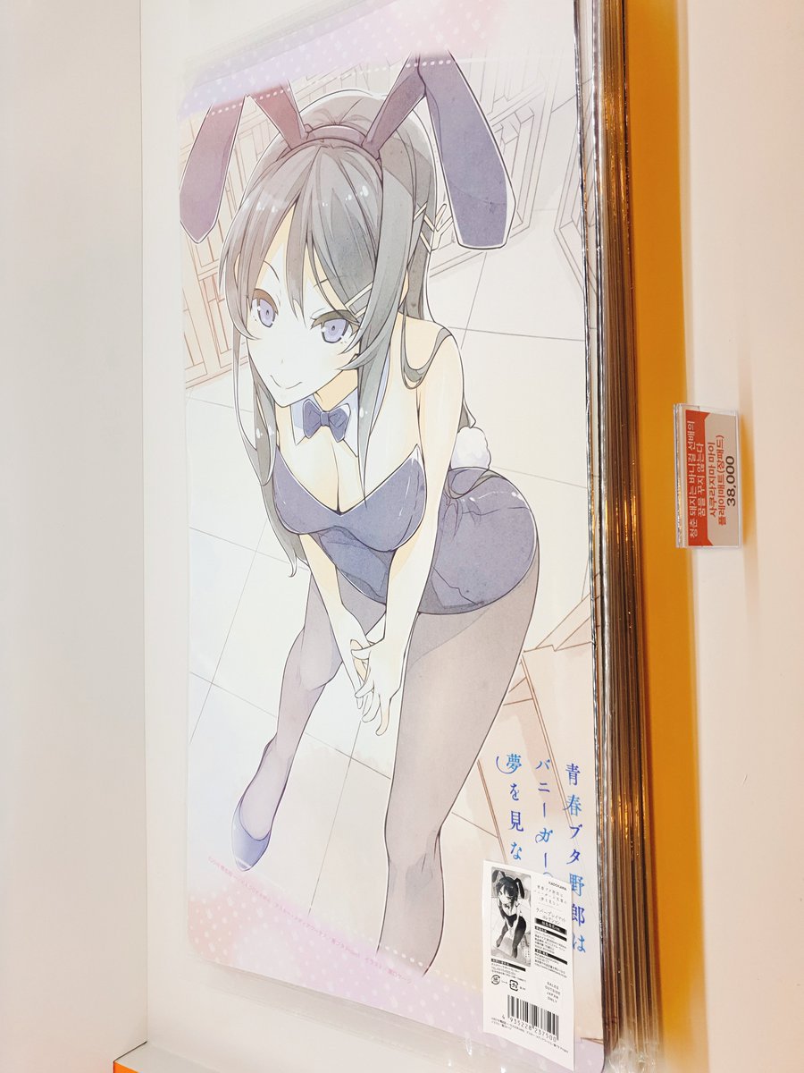 청춘 돼지는 바니걸 선배의 꿈을 꾸지 않는다 사쿠라지마 마이/마키노하라 쇼코 플레이매트(장패드)가 입고되었습니다. 가격은 각 38,000원입니다....