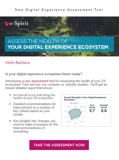 eSpiritEMEA's tweet photo. How well is your DX Ecosystem prepared for 2019? 
Just find out for yourself by using this tool: 
https://t.co/FJVfrZEAPI
P.S. Peer comparison &amp; instant feedback included!
#ecosystem #headlesscms https://t.co/KT7vugfooW