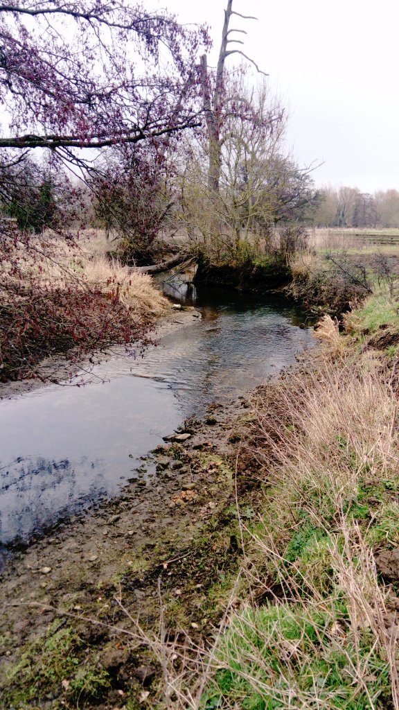 Stephloupoole's tweet image. Putting into practise our #MoRPh survey training yesterday on the #RiverBrett in Chelsworth. 30 modules completed. Lots more to go. #multiMoRPh @DedhamValeSVP