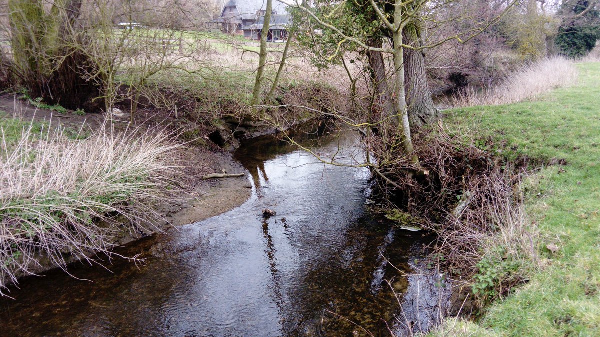 Stephloupoole's tweet image. Putting into practise our #MoRPh survey training yesterday on the #RiverBrett in Chelsworth. 30 modules completed. Lots more to go. #multiMoRPh @DedhamValeSVP