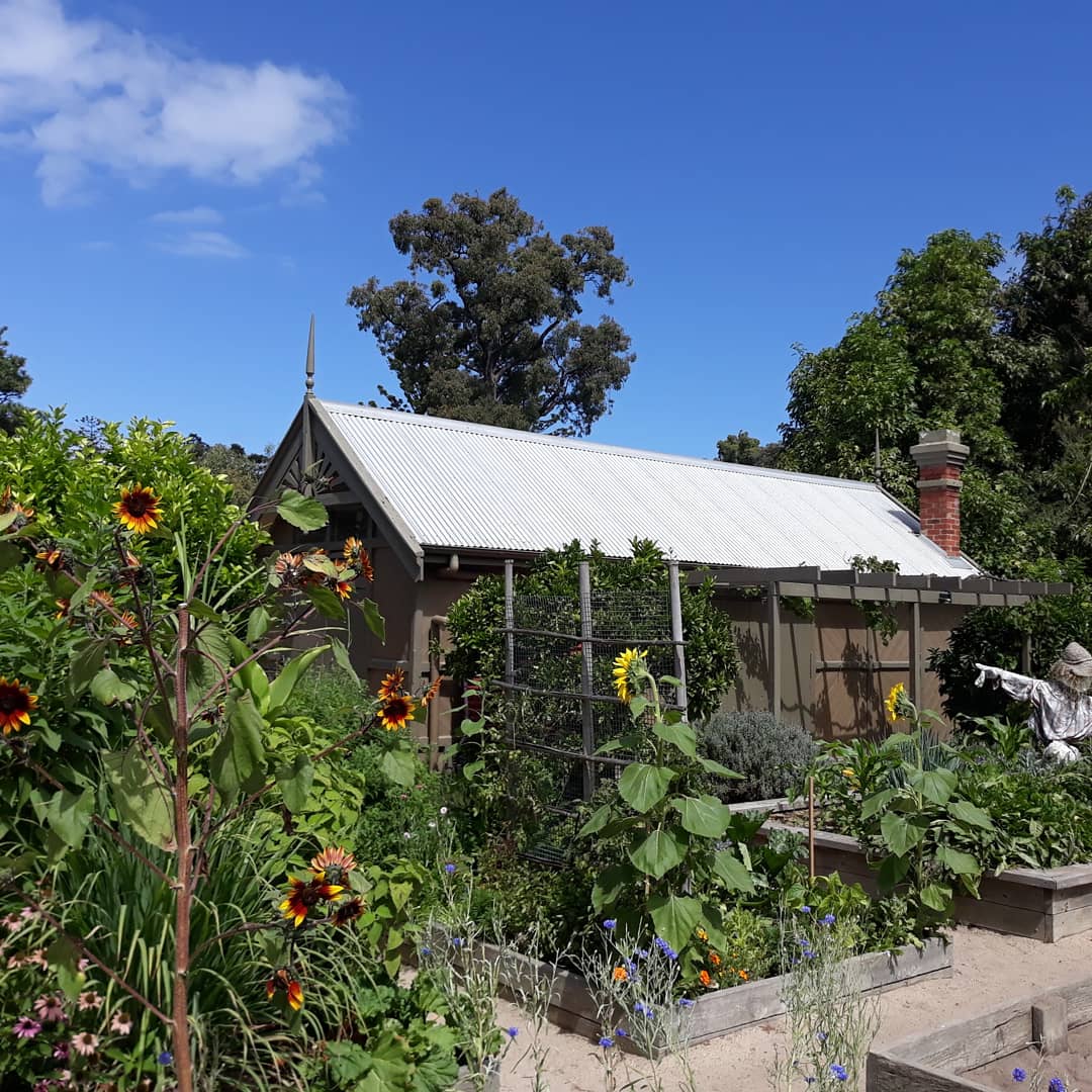 Jennifer Pryke tweet media