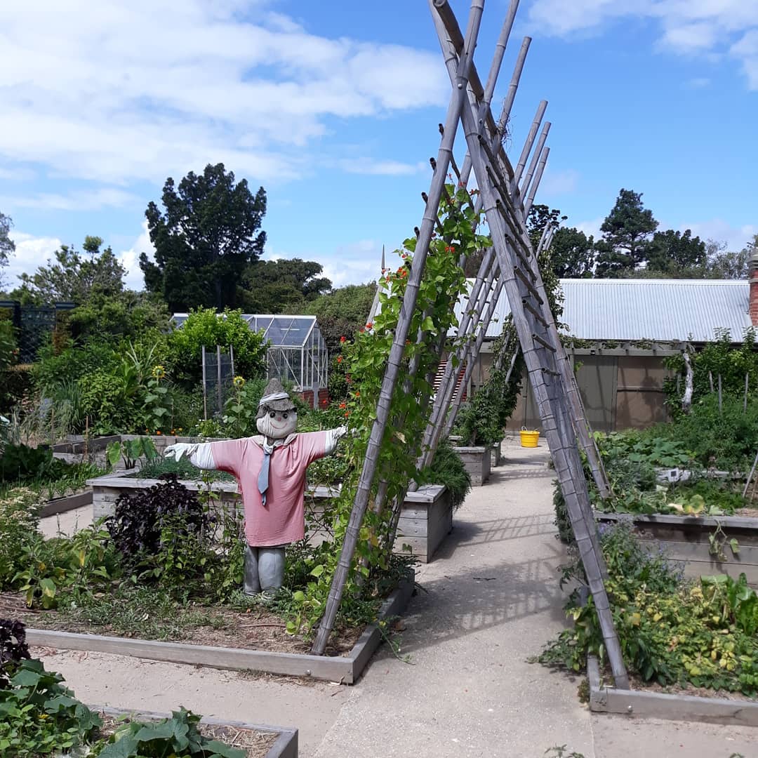 Jennifer Pryke tweet media