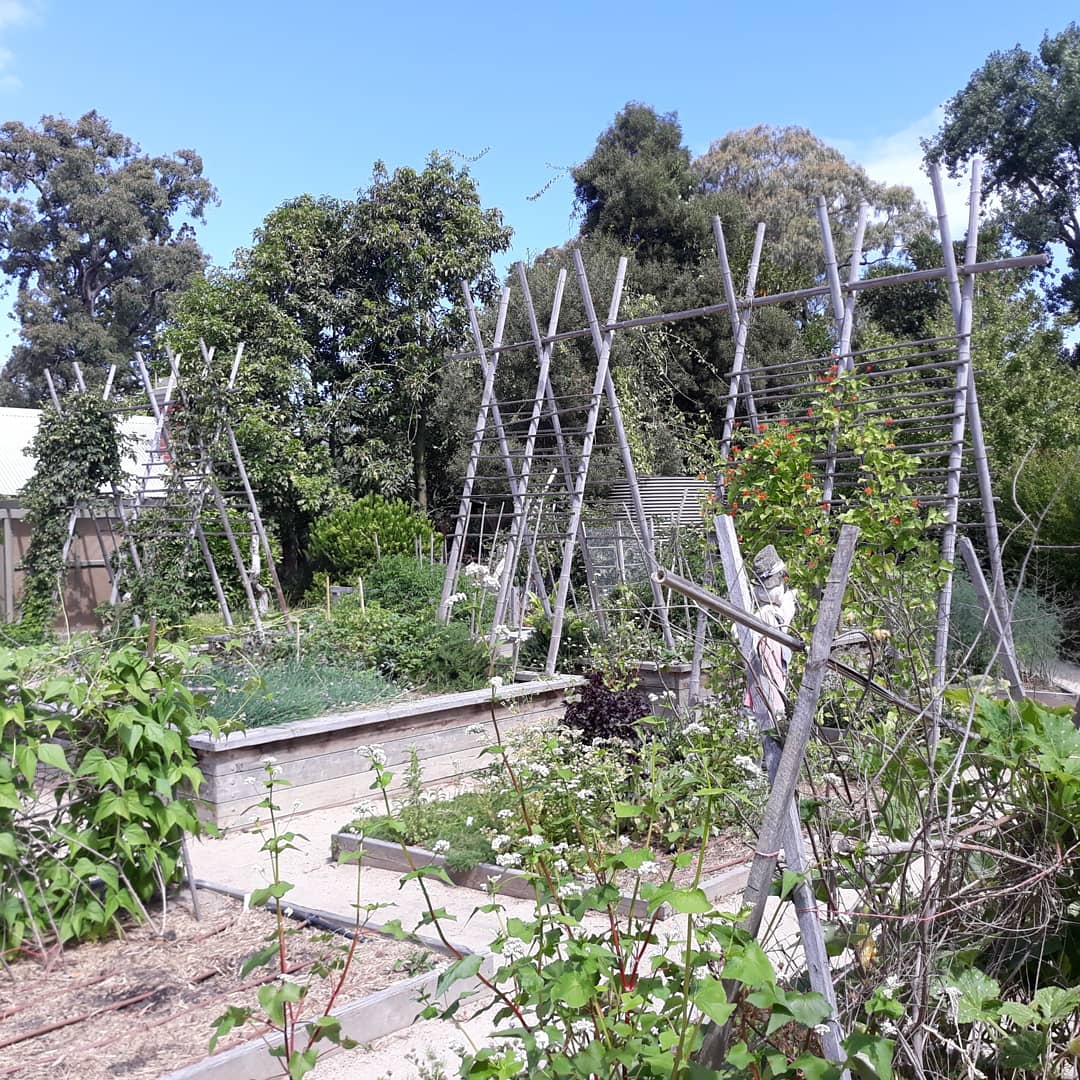 Jennifer Pryke tweet media