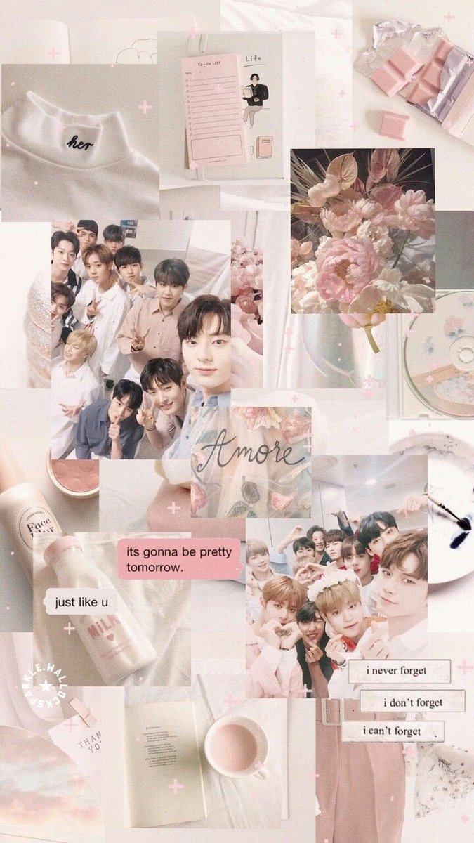 🍁แดน//จั๋นฯ.🌿 tweet media
