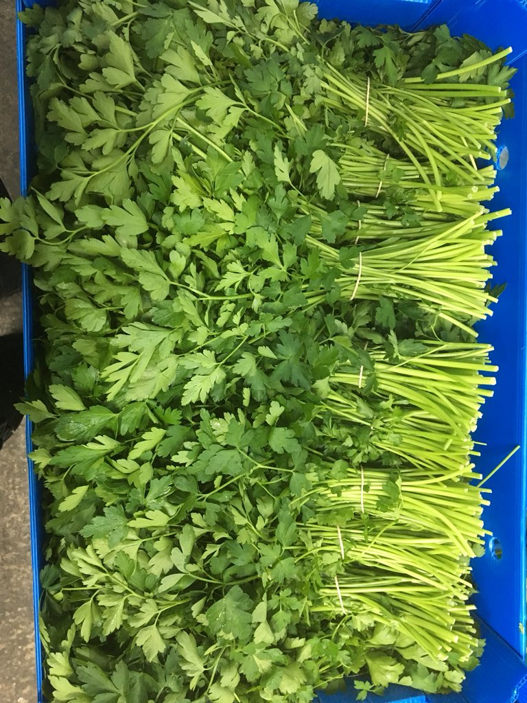 Bit of a warehouse update incoming! Some absolutely stunning Spanish Herbs coming through now.