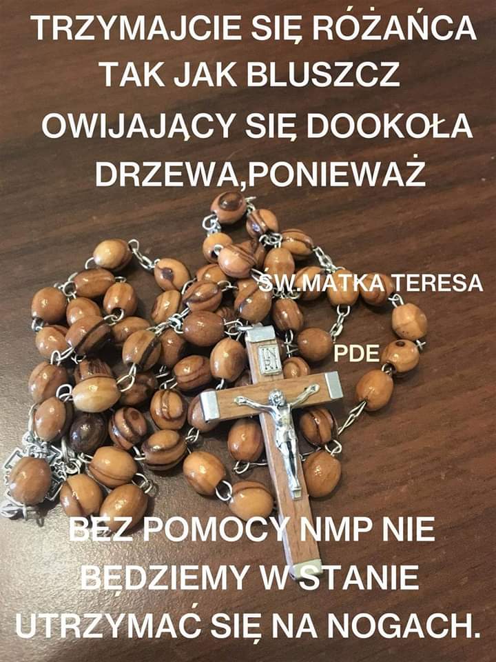 Barbara tweet media