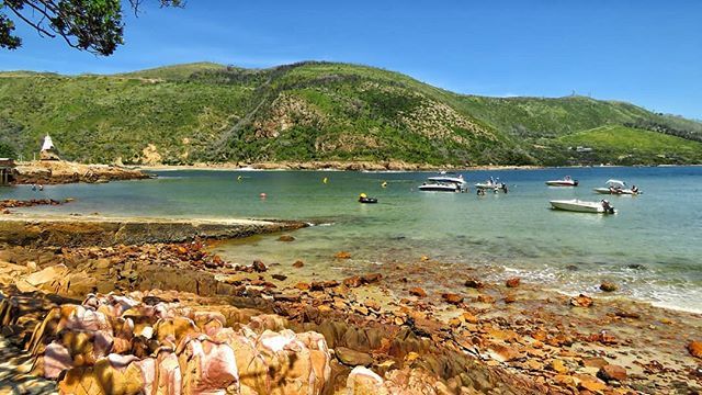 gotravelbug's tweet photo. Knysna you are so pretty each summers day brings a new surprise..
#Knysna #gardenroute #visualstoryteller #wanderlust #water #Travel #travelblogger #travelpeeps #life #nature #naturephotography #explore #skypainter #dametraveller #instagood #exploretocre… https://t.co/X0AxMrEQsd https://t.co/beeoUgNC6y