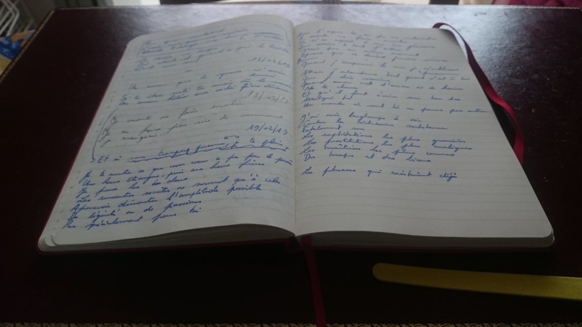 Géraldine Geay (@geraldinegeay) on Twitter photo 