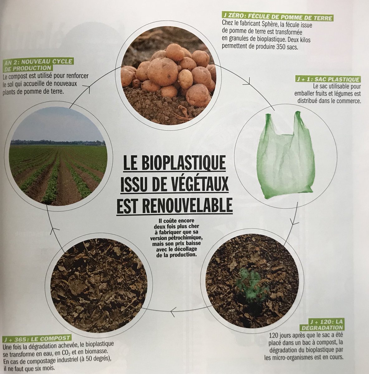 Virginie CAUET tweet media