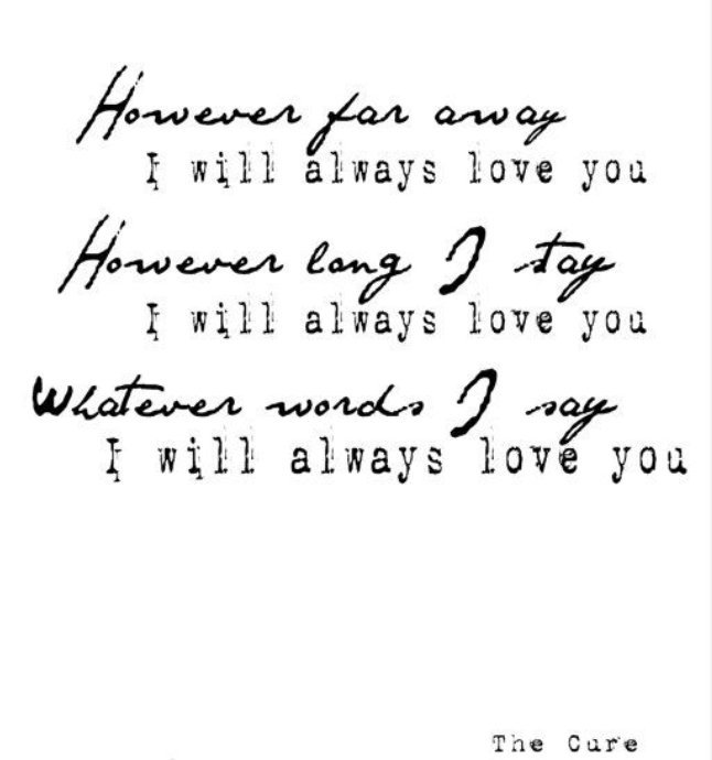 WonderwallCass's tweet image. 