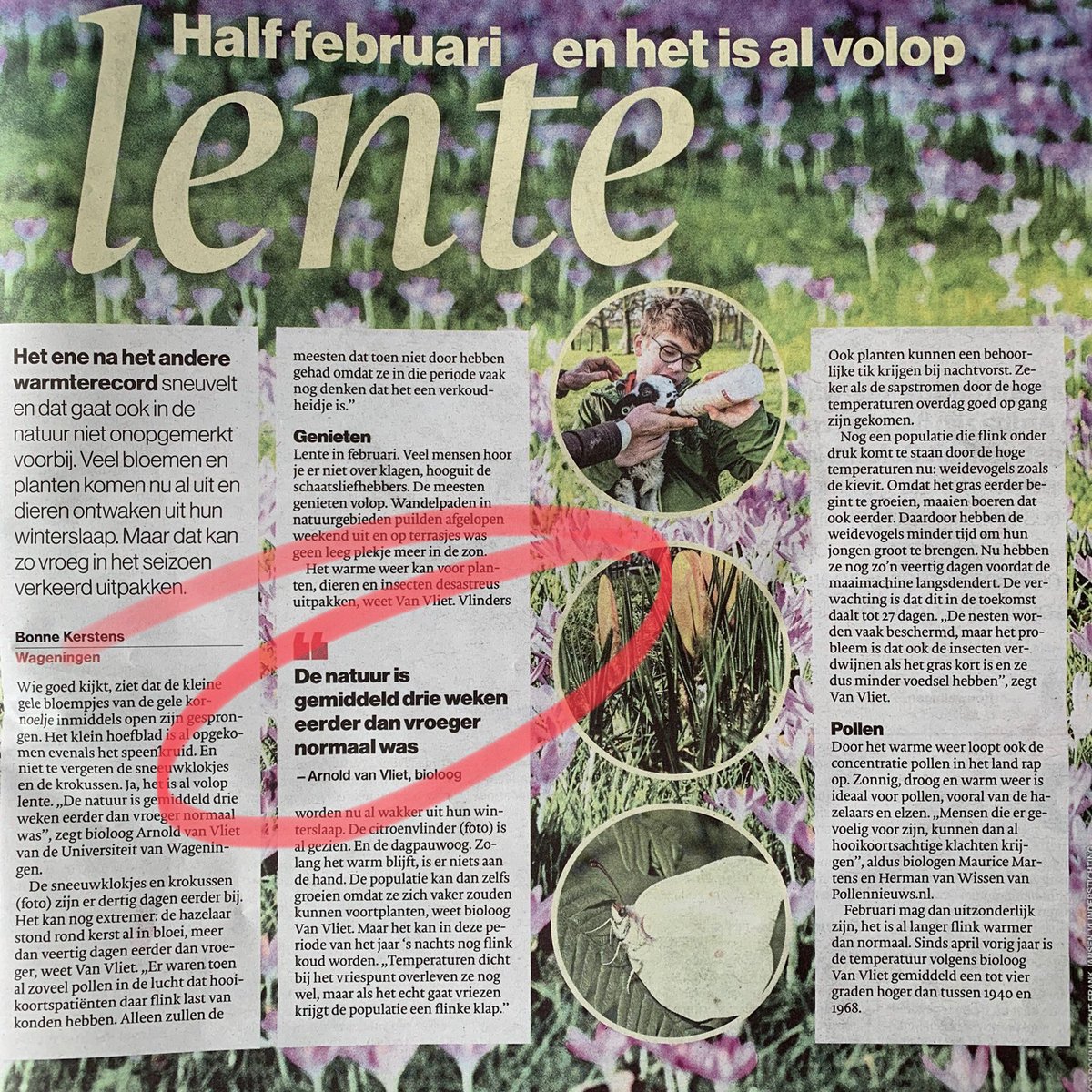 Wim van Rooijen tweet media