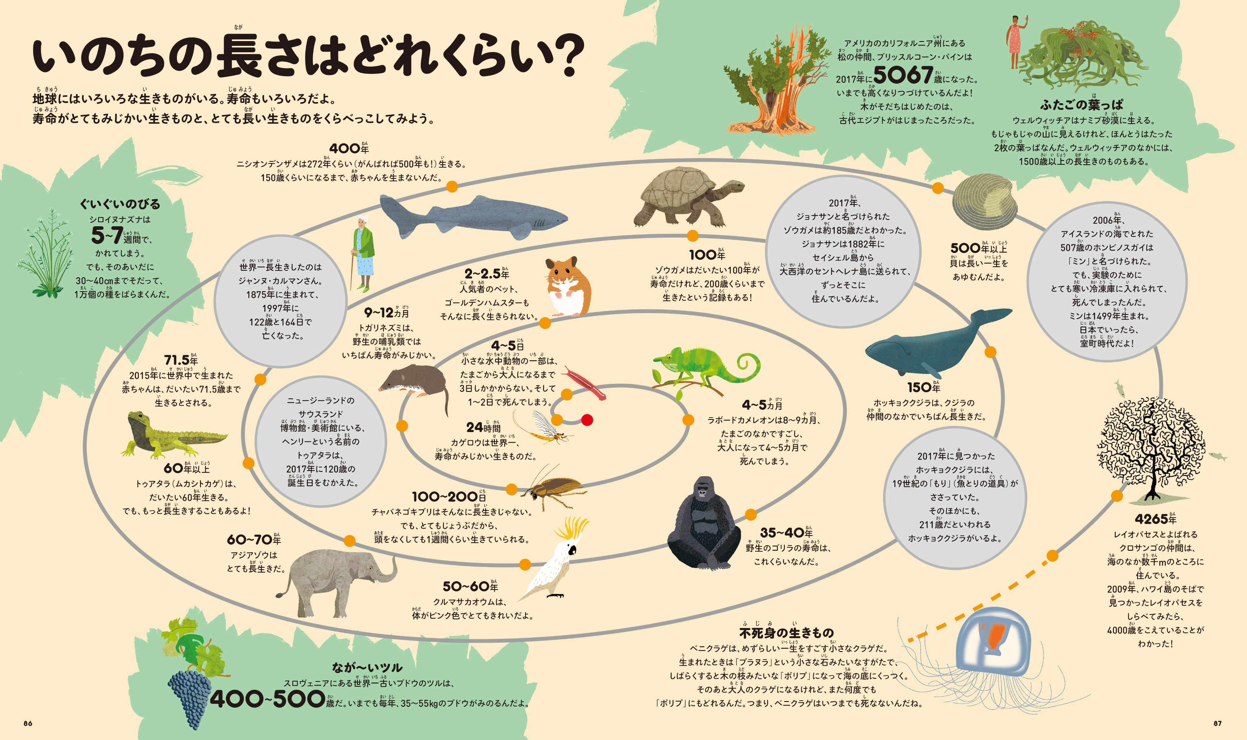 渋井史生 Rt Kawade Shobo 世界一おもしろいくらべっこ大図鑑 発売 恐竜の大きさ 動物 の寿命からロケットのスピードまで あらゆる物の速さ 寿命 長さ等を徹底比較 たくさんの 世界一 にびっくりおどろきながら 単位や定量表現のセンスが身に