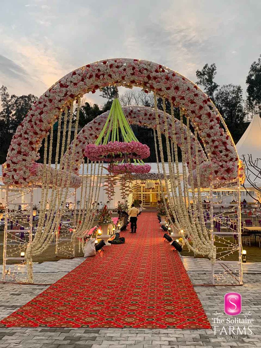 TheSolitaireDDN's tweet photo. Picking a wedding venue is a regular rite of devising passage, but just imagine possessing to pick a place to host a royal wedding. #TheSolitaireFarms

Call : +91 97191 65651
Location: The Solitaire Farms, Malsi, Mussoorie Rd, Dehradun

#Banquet #Luxury #Wedding #GrandEvents https://t.co/ciZvSfLchh