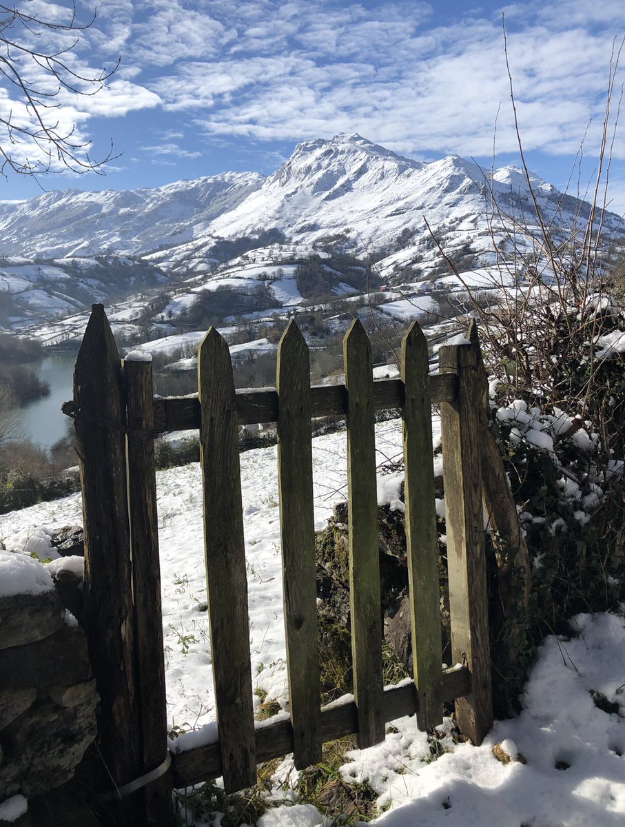 No se será motivado por el cambio climático o simplemente son ciclos naturales, pero la falta de invierno en Asturias es muy triste y preocupante