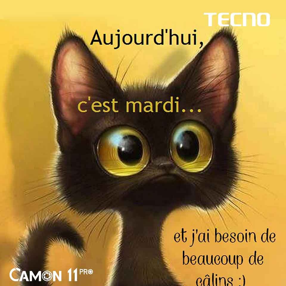 TECNO Mobile CM on Twitter "Youpi!!Déjà Mardi.. On reste cool,Zen c'est Mardi,mais on s'en
