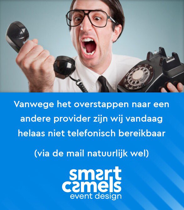 Smart Camels tweet media