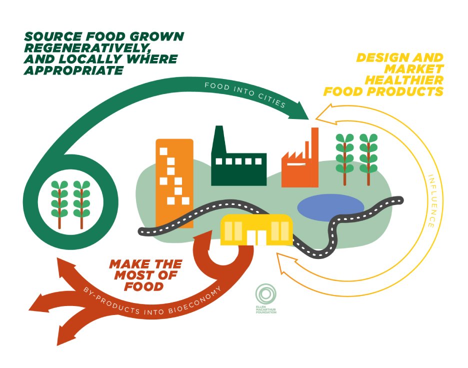 New Ellen MacArthur Foundation report, ‘Cities and Circular Economy for Food’, finds unhealthy food production makes healthy eating impossible. The report, outlines the leading role cities can play in the transition to a regenerative food system. 

ellenmacarthurfoundation.org/our-work/activ…