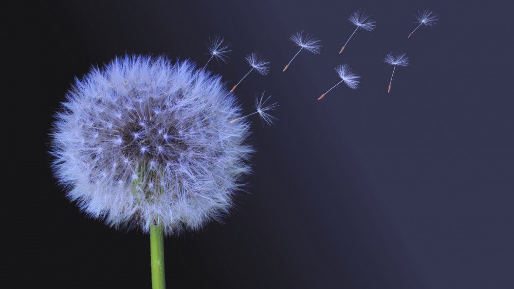 Lent Retreat. How then Shall We Live? Finding our authentic Christian life in Lent 
Taffy Davies &amp;  Bud Gemmell  Monday 11th March  - Wednesday 13th March 
£170pp - includes en-suite accommodation, all meals and refreshments  foxhill@chester.anglican.org  or call 01928 733777