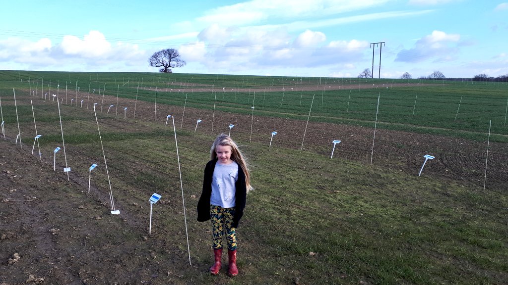 What half-term wouldn't be complete with a tour round the @SyngentaCropsUK Ryegrass Focus Site!? #luckygirl #bringyourchildtowork