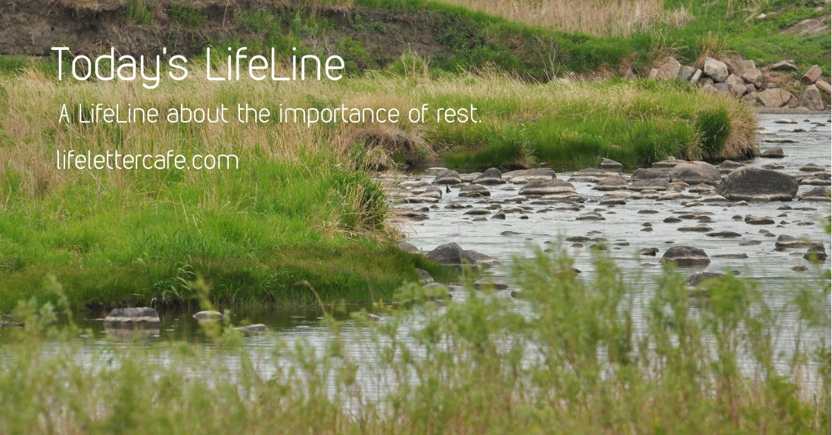 The5ElevenZone's tweet photo. "Jesus invites us into quiet so that we might hear what he has to say .. Jessica VanRoekel https://t.co/c2Bqb8Olns #welcomegrace #lifelettercafe https://t.co/kG96cd0Lpy