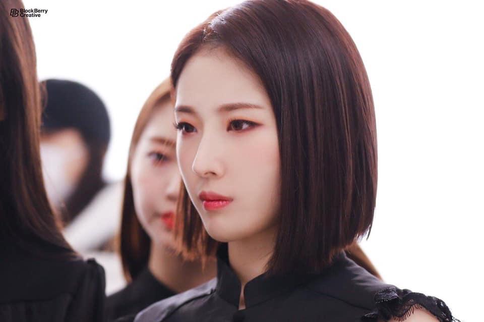 _LindsayWolf_'s tweet photo. #LOONA_BUTTERFLY https://t.co/QdILOIGyTk