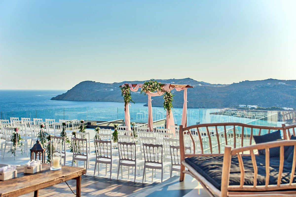 Myconian Collection tweet media