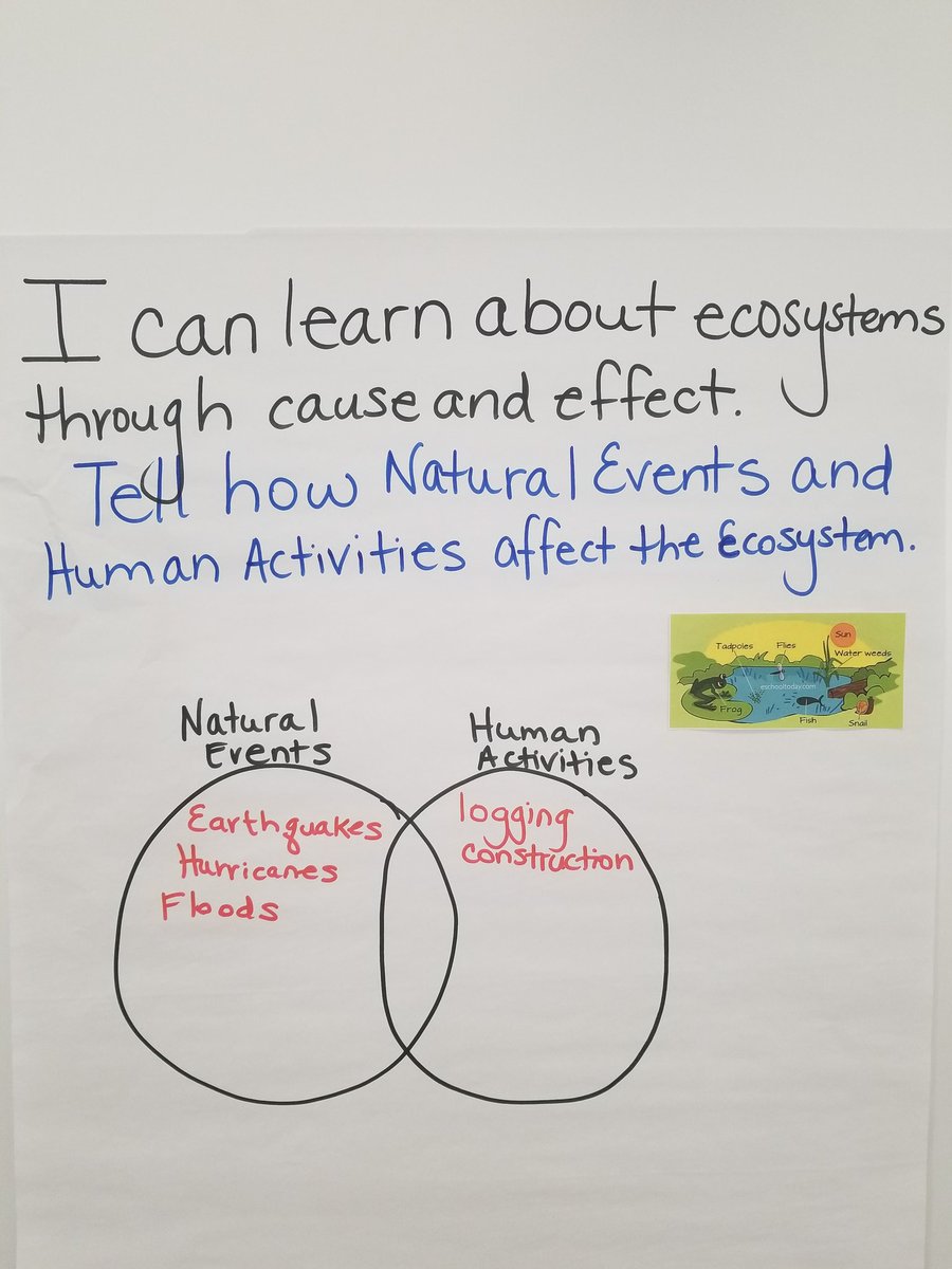 These are the results of an anchor chart PD provided By ARI Specialist Sonya Wilson.  Dannelly Elementary Tearchers collaborated to create charts that incorporate reading strategies across the curriculum.