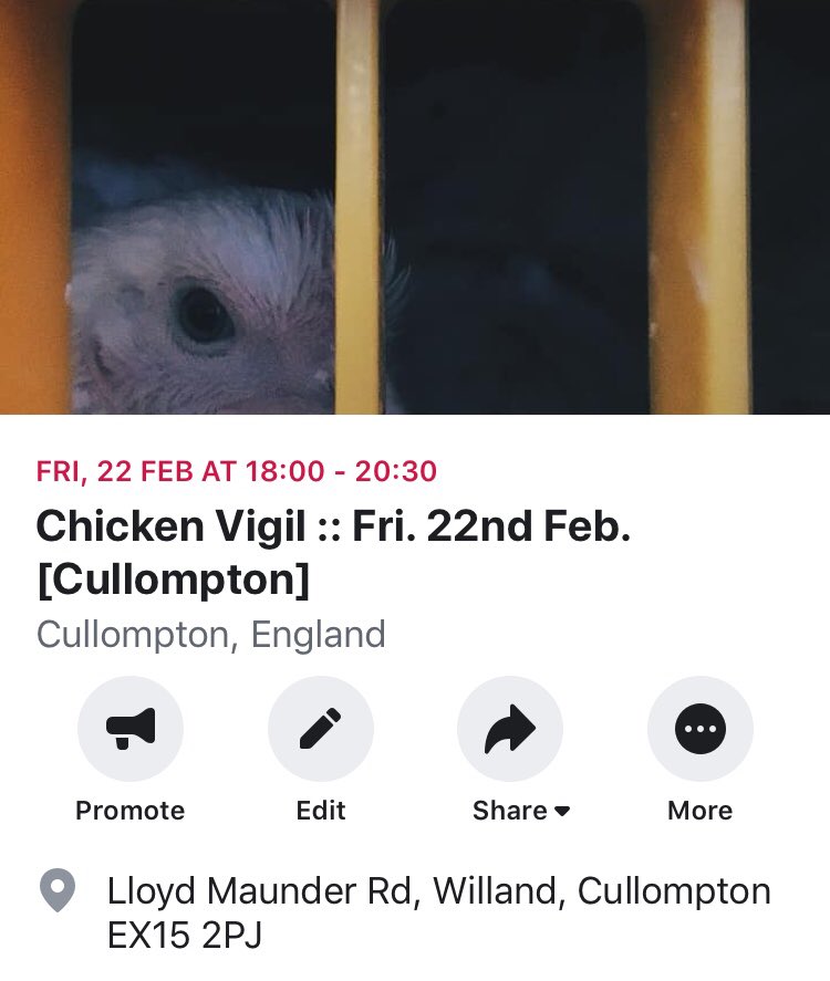 DevonAnimalSave's tweet image. Please join us if you can 💚

facebook.com/events/3782964…