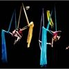 StudyAbroadCU's tweet image. The next Erasmus Society event will turn you upside down!

Try out your aerial silks, trapeze and other circus skills at Up Side Down Circus at the Bay. It doesn't matter if you've never done it before!

Tickets can be purchased on the SU website:
buff.ly/2GyZLtD