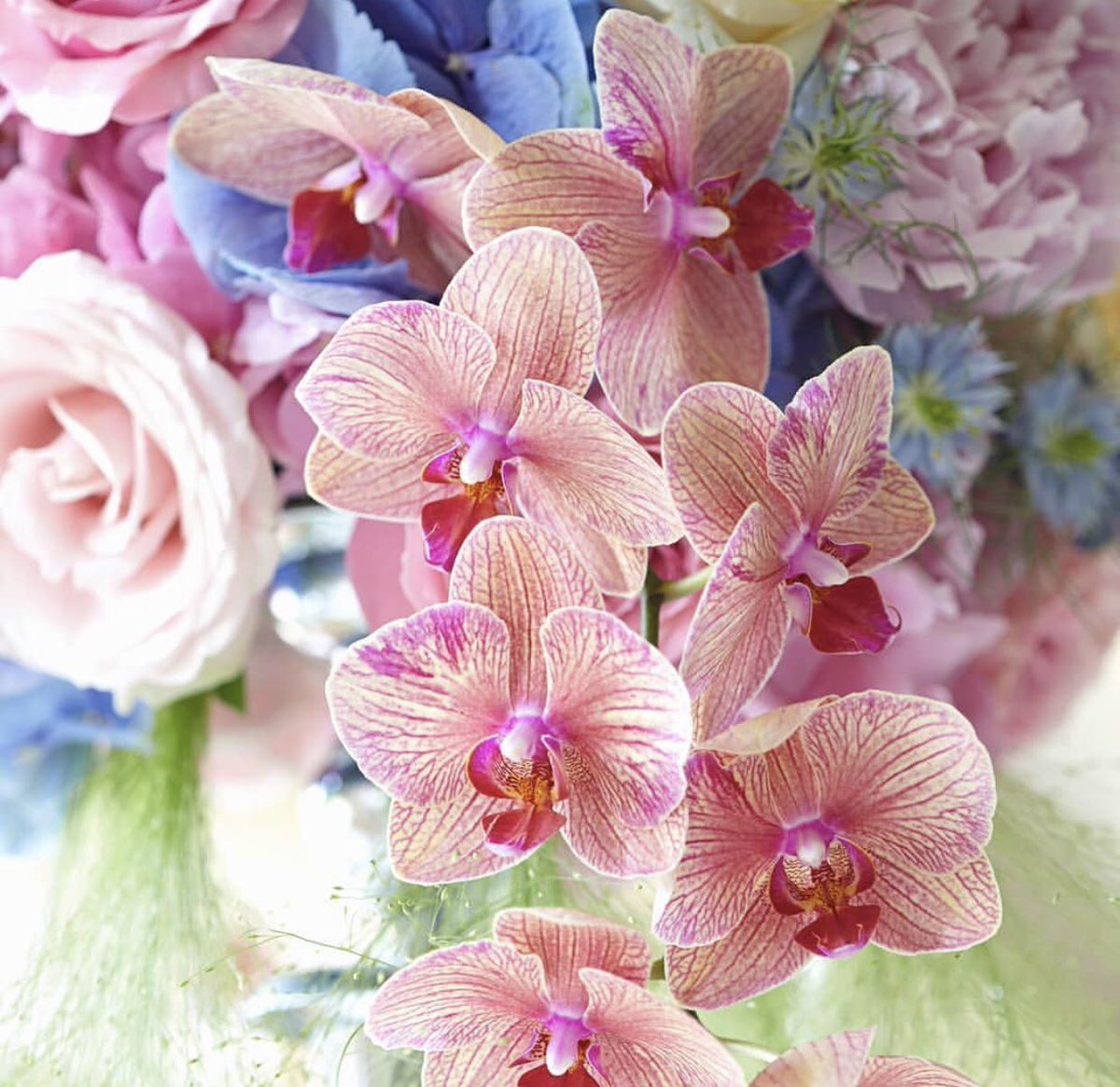 BizzieLizzieThame (@bizzie__lizzie) on Twitter photo 