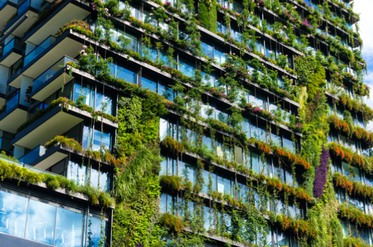 RICSnews's tweet image. Webinar | Join expert speakers as we discuss the importance of green #buildings, how to encourage greater #investment in them and whether they command a premium for investors. #WBEF #WBEFWebinar bit.ly/2DCUCNi