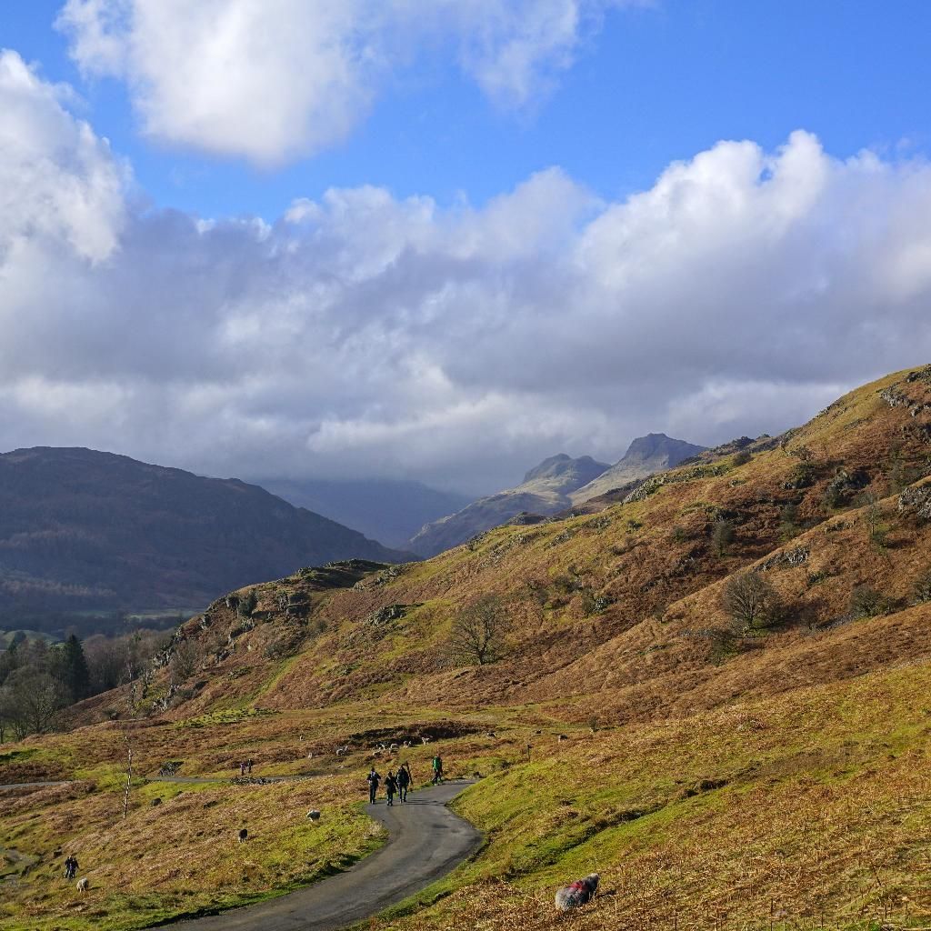 Grab your friends, find that trail and go adventure!

#elterwater #lakedistrict #cumbria #thelakelanders #landscapephotography #fiftyshades_of_nature #igerscumbria #fromlakelandwithlove #walkinginthelakes #hikingthelakes #cumbrialife #instabritain #explore_britain