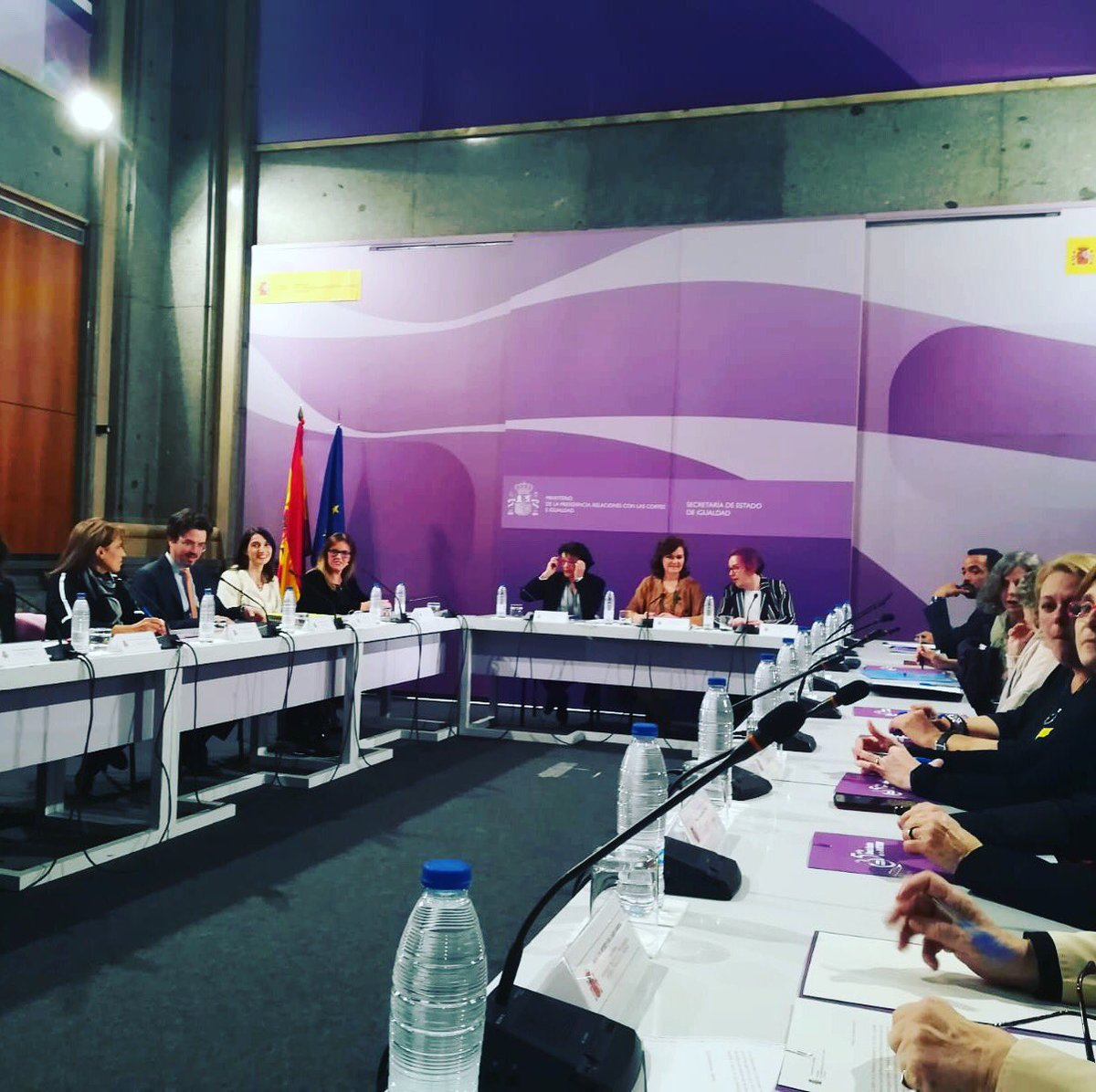 Presencia de ⁦<a href="/PWNMadrid/">PWN Madrid</a>⁩ en el Consejo de Participación de la mujer