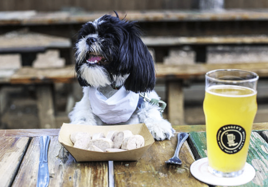 G_Nazionale's tweet image. #Entri con il cane al ristorante? #Paghi il coperto in più  goo.gl/mLLCet