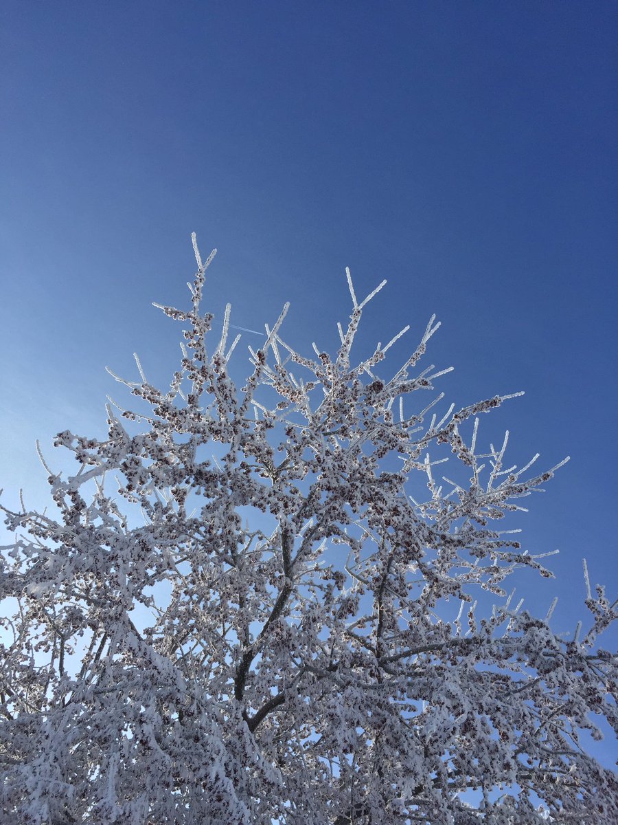 Andrew Ansorge tweet media