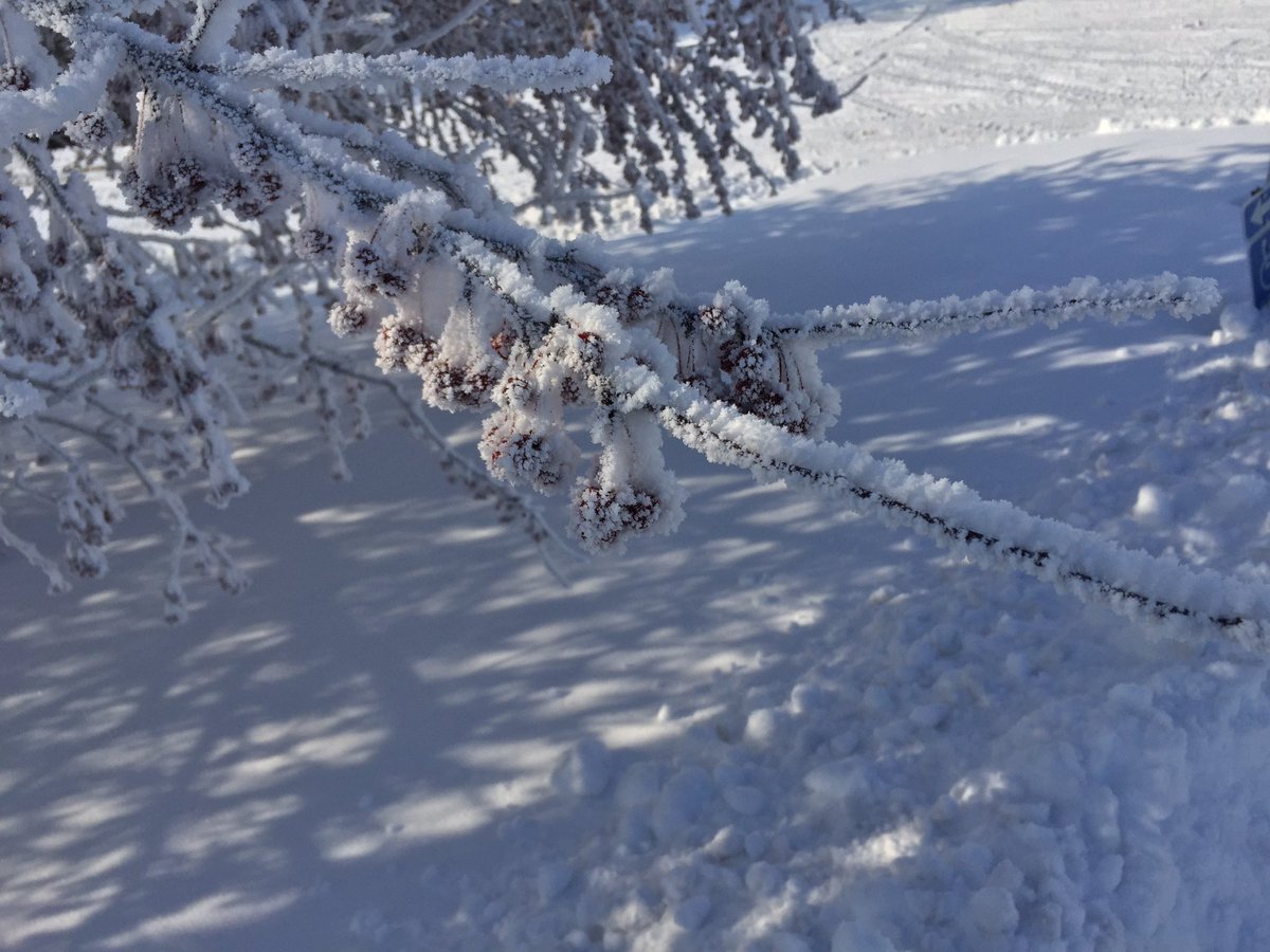 Andrew Ansorge tweet media