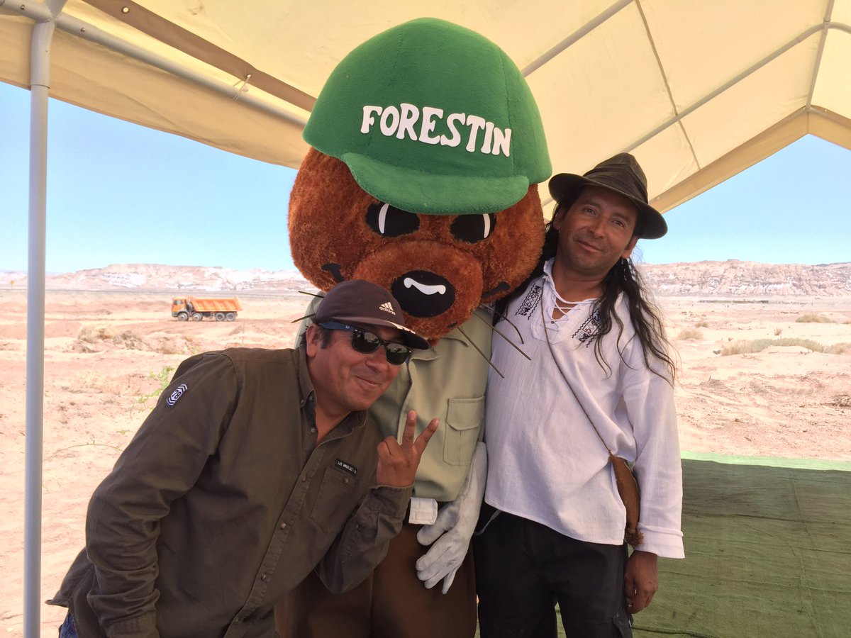 CONAFantof's tweet image. Forestín junto a Jorge Alvarez, presidente de la comunidad atacameña de #Coyo #SanPedrodeAtacama hoy entregamos árboles frutales y ornamentales a la comunidad que se vio afectada por las lluvias.