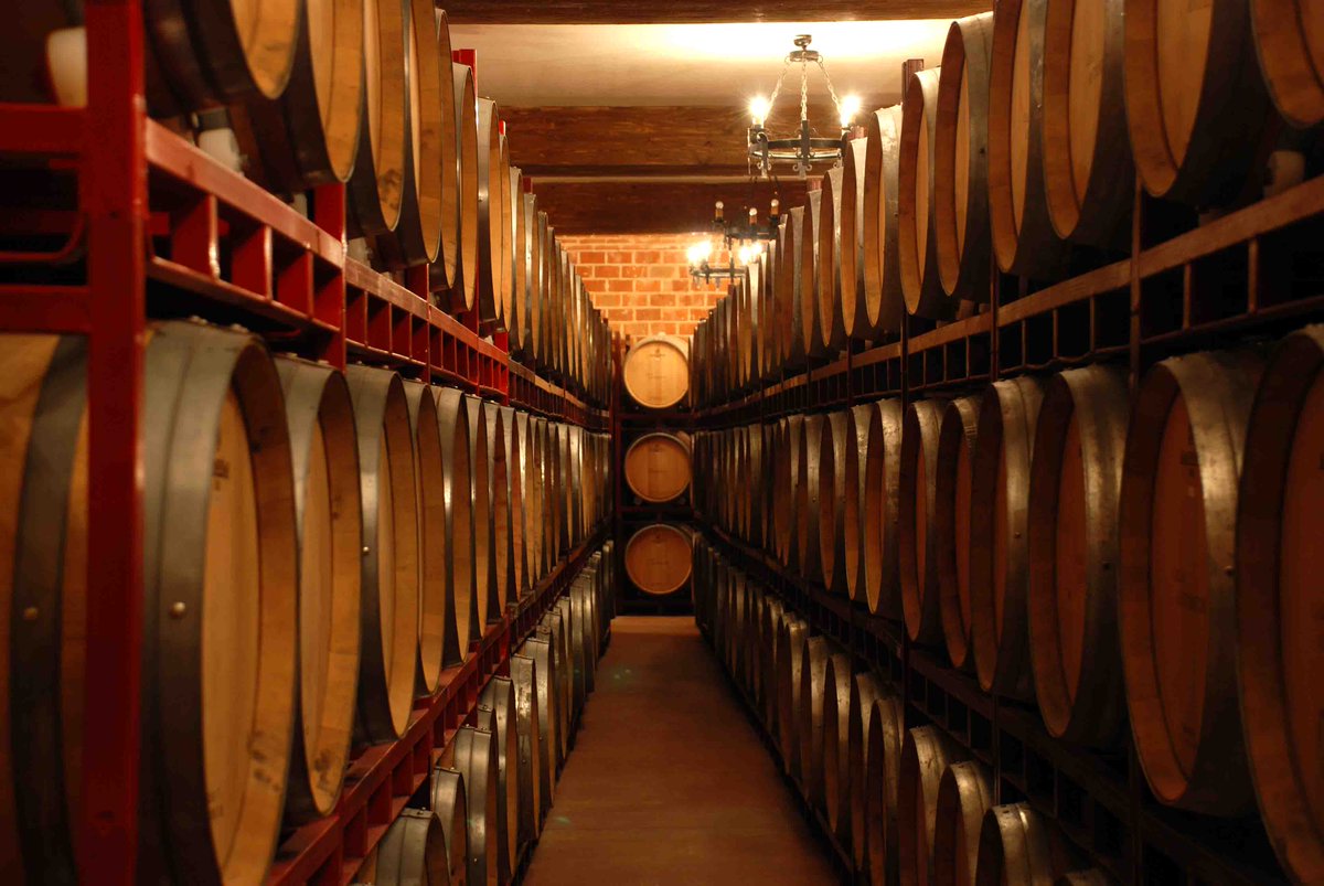 Old wood to burn, old wine to drink, old friends to trust, and old authors to read.