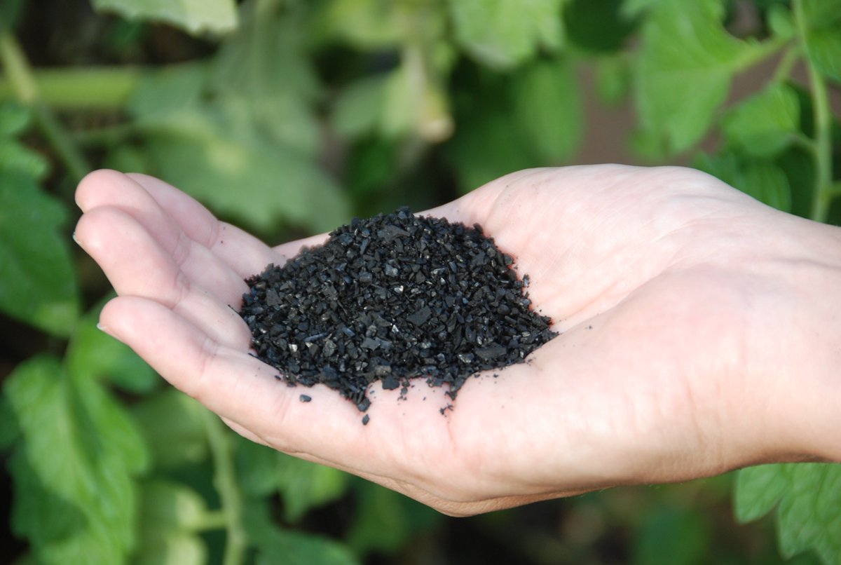 #Biochar can save our lives
2.56 billion rural poor of the world contribute heavily to #climate_change. Biochar has the power to reverse climate change and to repair the #damage that we have done to the #air, #soils and #water.
#environnement #environmentalist #nature