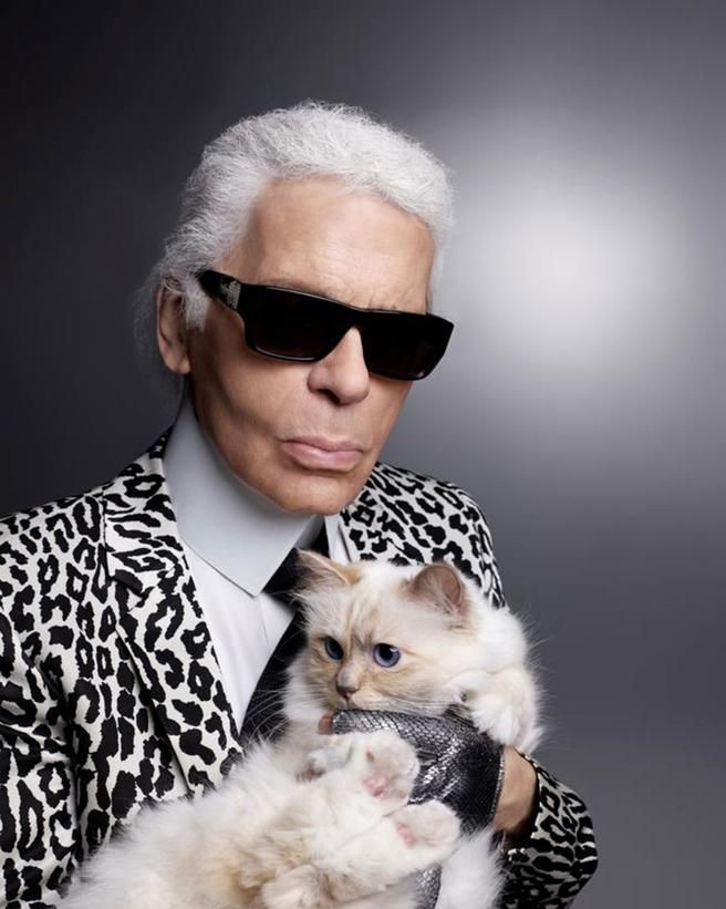 Dr Sabina Stent on X: Karl Lagerfeld and his beloved cat Choupette. A huge  loss to the fashion world. RIP.    / X