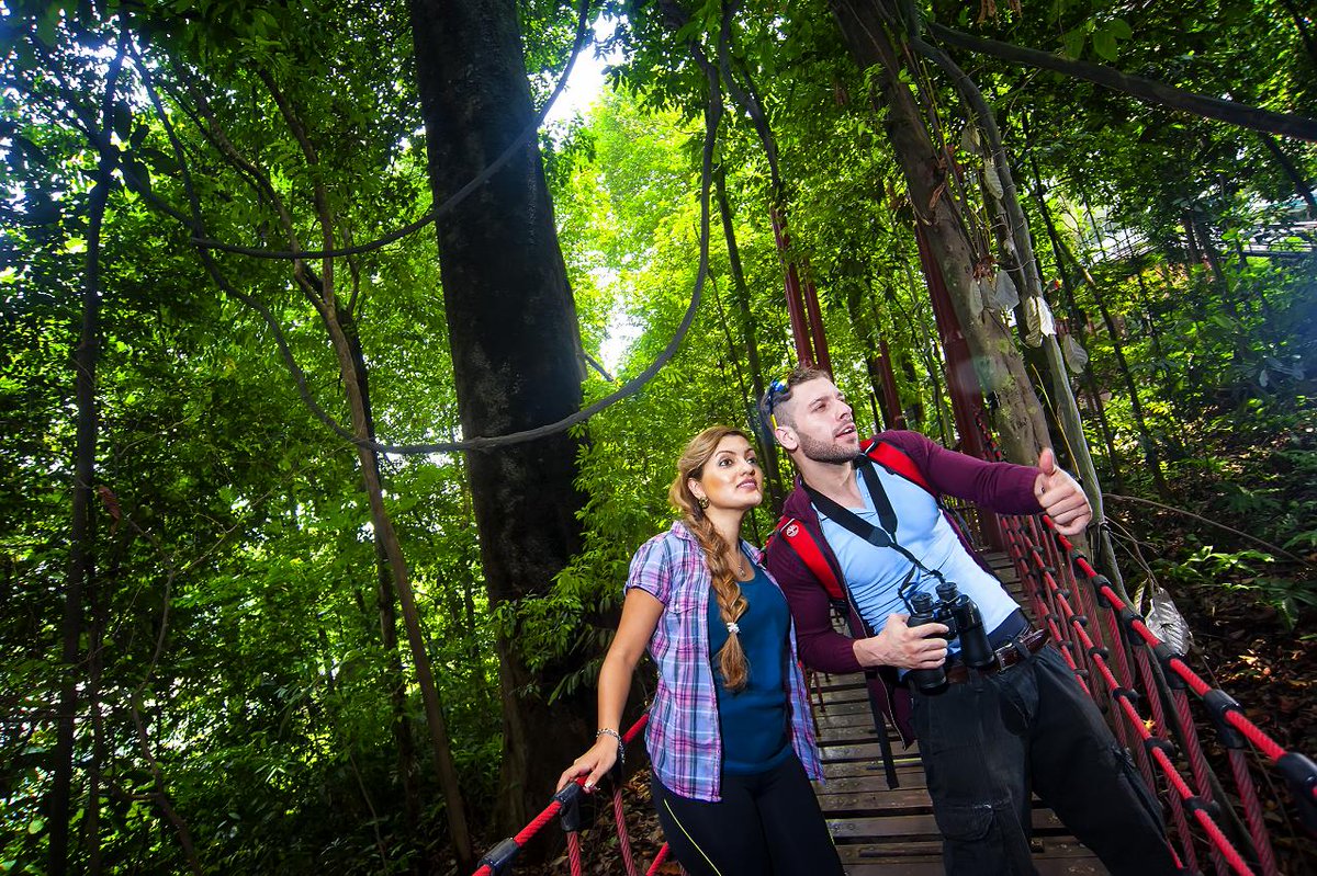 azukitours's tweet photo. Wherever you go, go with all your heart -confucius- 
#malaysiatrulyasia #malaysiatourism #azukitours #travel #malaysia #trip #nature #malaysian https://t.co/45RGC6V76z