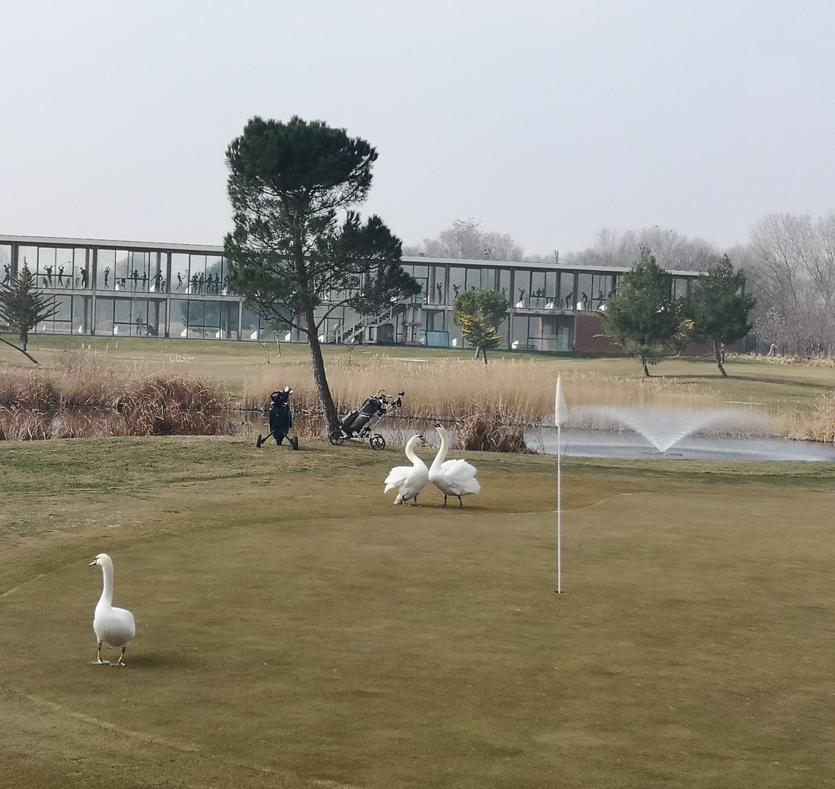 Nuevos Jugadores en Ranillas @lasranillasurbanclub