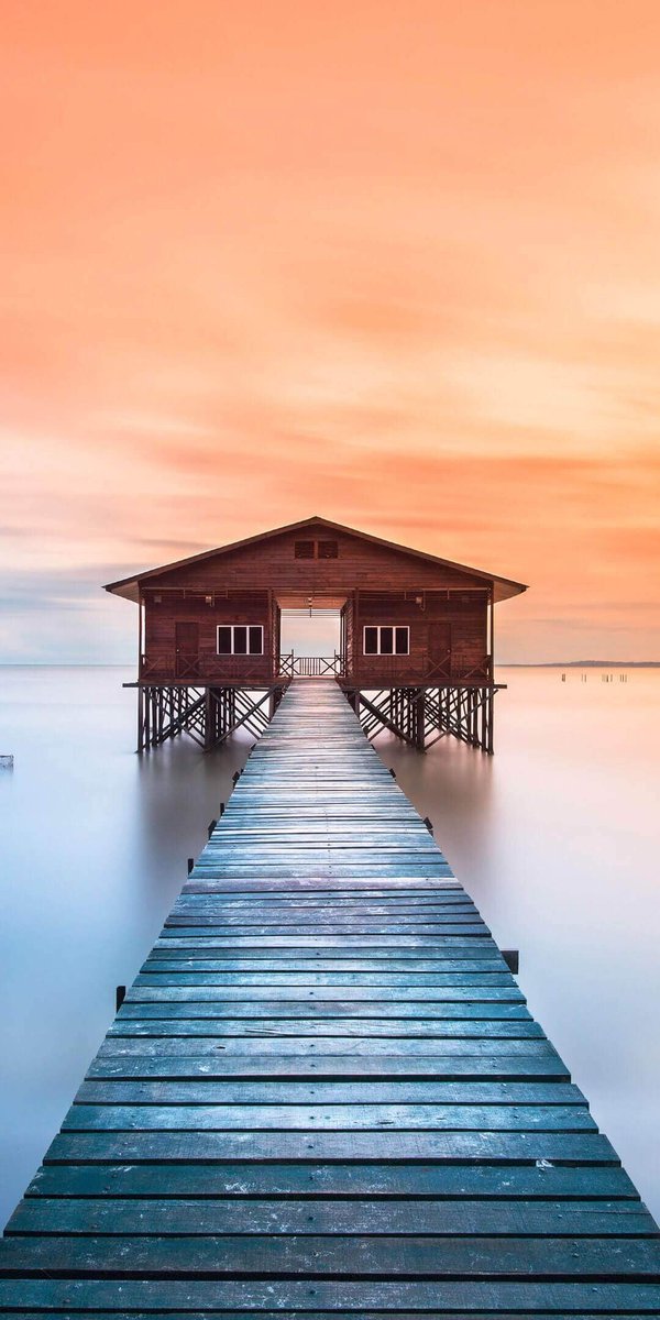 MerounMr's tweet image. 