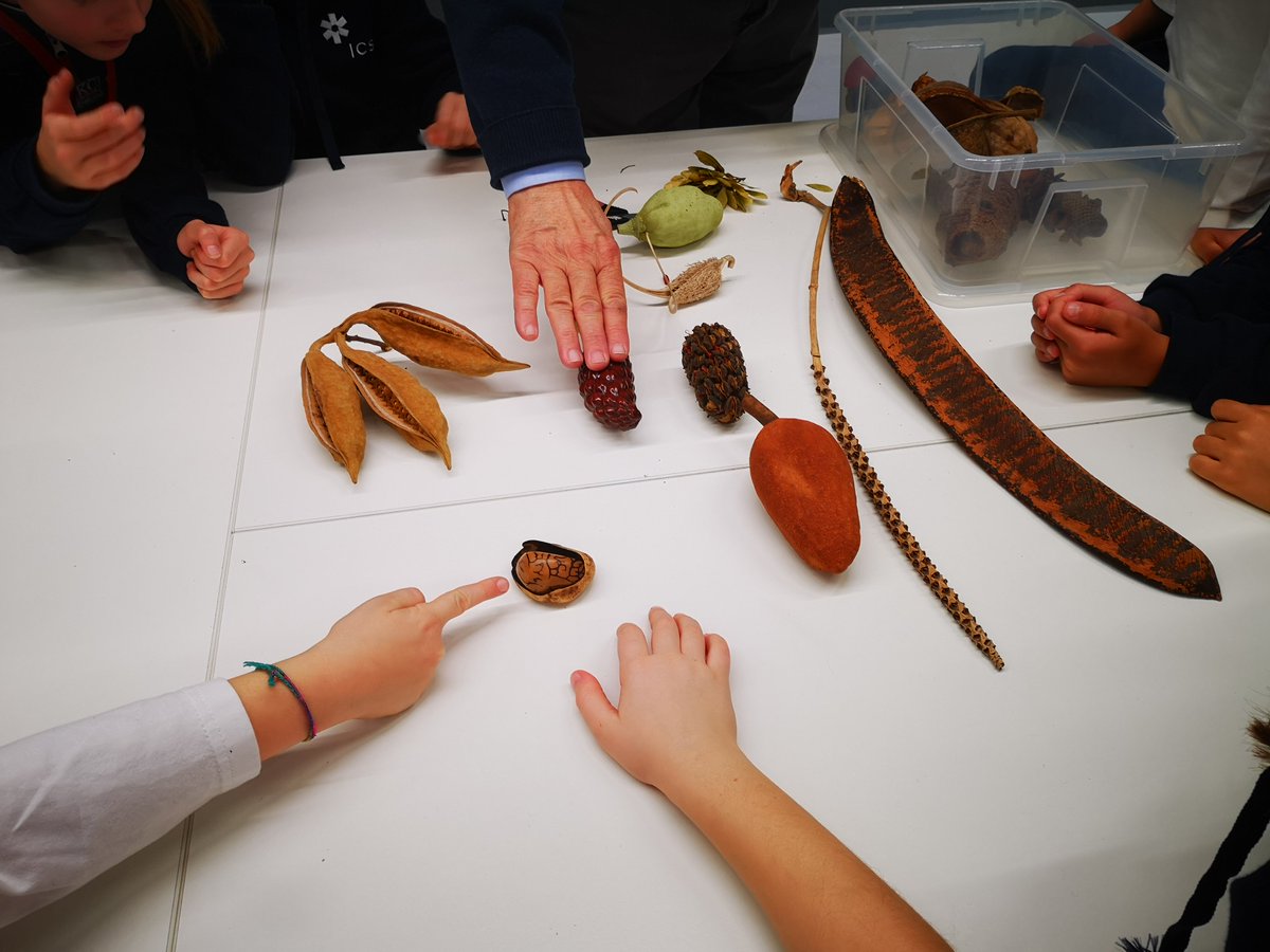 ICS International School Milan tweet media